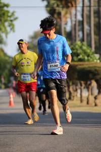 BIB: 6590, 6671
                            <button type="button" onclick="openModal(3499190)" class="btn btn-primary btn-sm float-right btn-popup" data-toggle="modal" data-target=".modal-high-quality">
                        <i class="fas fa-shopping-cart"></i> Add to Cart
                    </button>
                                            <button type="button" onclick="isThisMe(3499190, true)" class="btn btn-success btn-sm float-right btn-popup btn-isme hidden" data-toggle="tooltip" data-placement="bottom" title="นี่คือรูปของคุณใช่ไหม คลิกที่นี่เพื่อเอาเข้าอัลบั้ม">
                        <i class="fas fa-plus"></i> Add to album
                    </button>
                    <button type="button" onclick="isThisMe(3499190, false)" class="btn btn-warning btn-sm float-right btn-popup btn-isnotme hidden">
                        <i class="fas fa-ban"></i> Remove from album
                    </button>